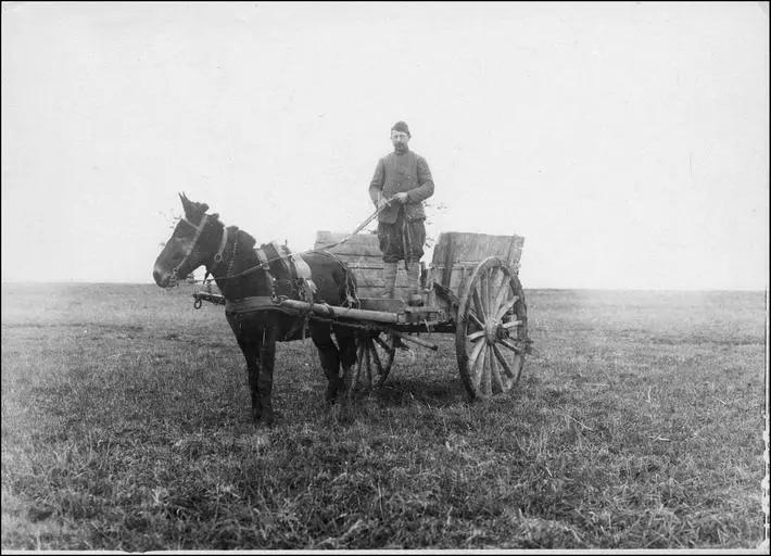 Modèle de voiture à  cheval demandé par le GQG (Grand Quartier Général)