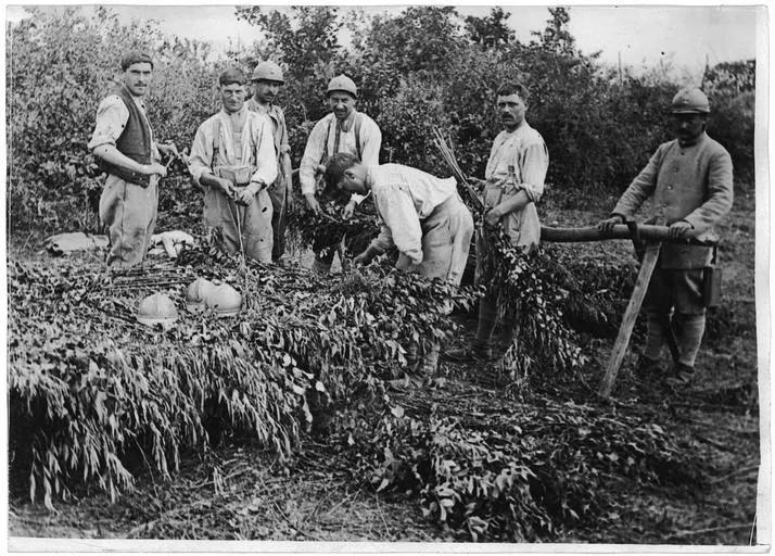 1917.06.16, Camouflage avec les moyens de fortune