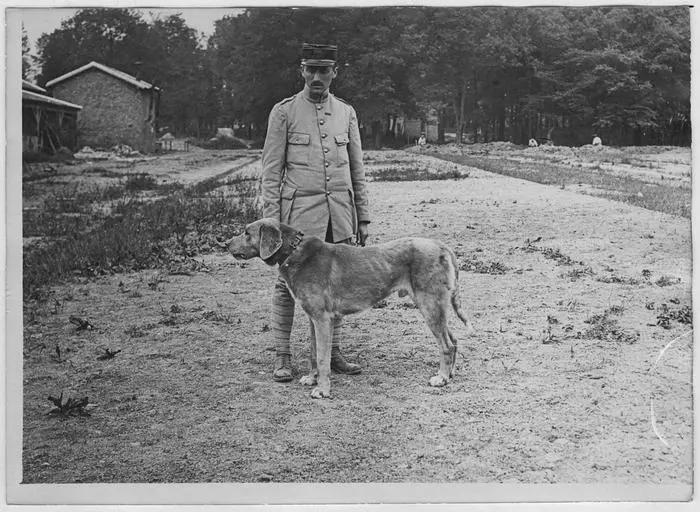 1918.05, Camp militaire de Satory, Chenil militaire : type de chien de trait