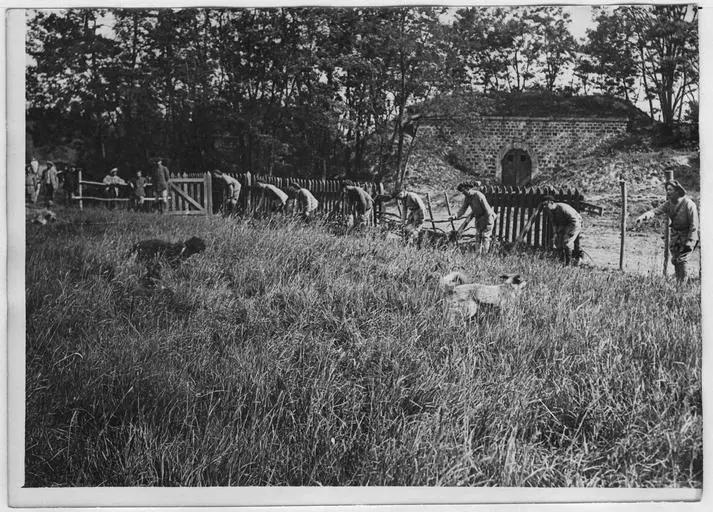 1918.05, Camp militaire de Satory, Chenil militaire : exercice de dressage des chiens de guerre