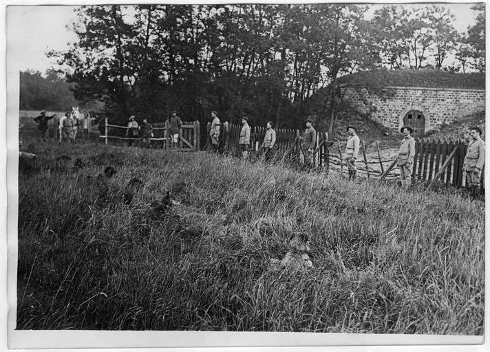 1918.05, Camp militaire de Satory, Chenil militaire : exercice de dressage des chiens de guerre