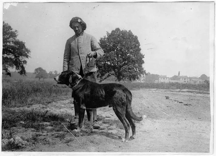 1918.05, Camp militaire de Satory, Chenil militaire : type de chien de trait