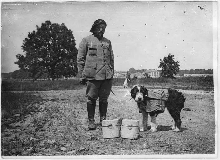 1918.05, Camp militaire de Satory, Chenil militaire : chien porteur et ses marmites