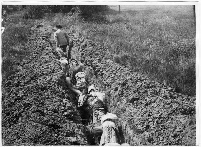 1918.05, Camp militaire de Satory, Chenil militaire : la marche des chiens porteurs dans un boyau