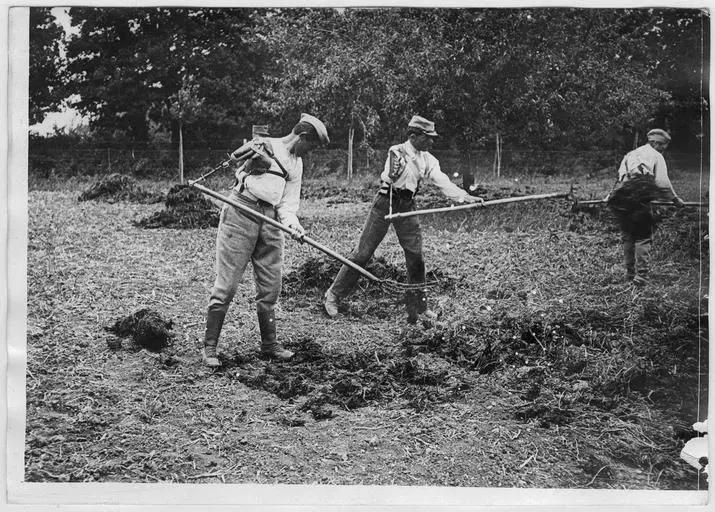 1918.06, Ecole nationale d'agriculture, Rééducation des mutilés : épandage du fumier