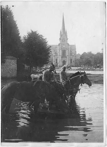 Baignade des chevaux