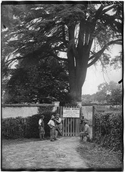 1917, Trianon : entrée d'un jardin des pépinières nationales