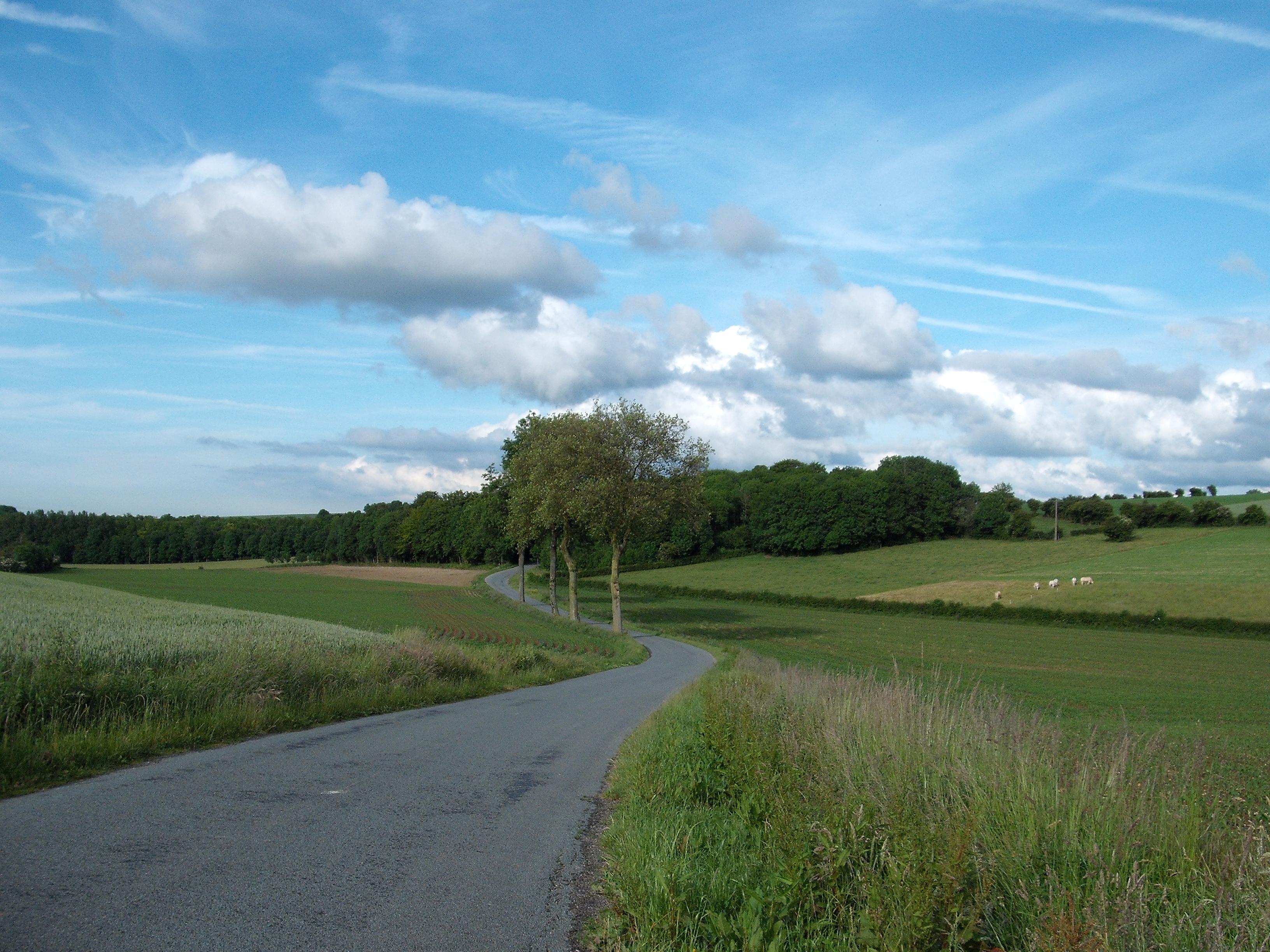 Campagne audomaroise