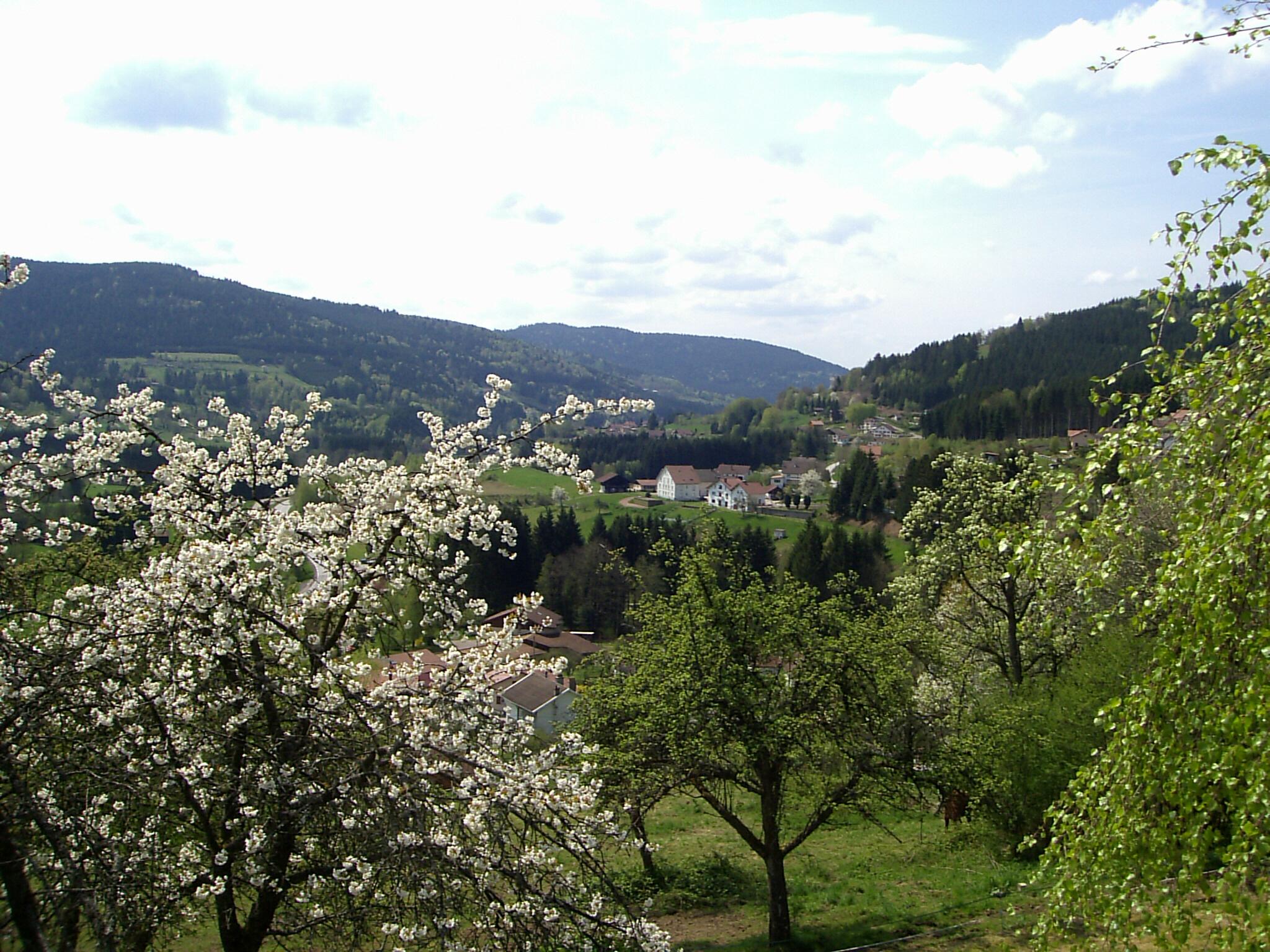 Le Tholy, Vallée de Cleurie