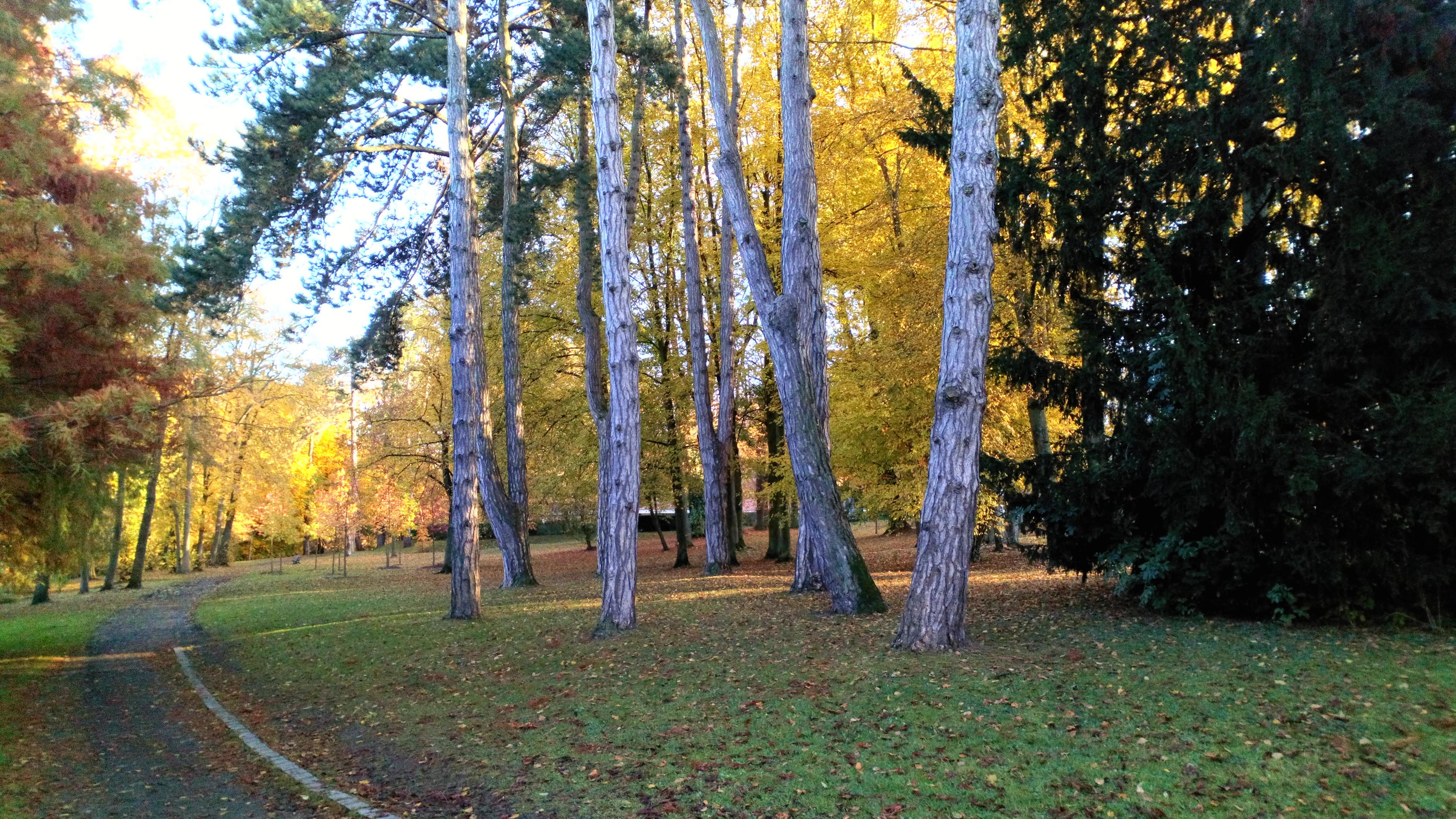 Château de Montières, parc 1