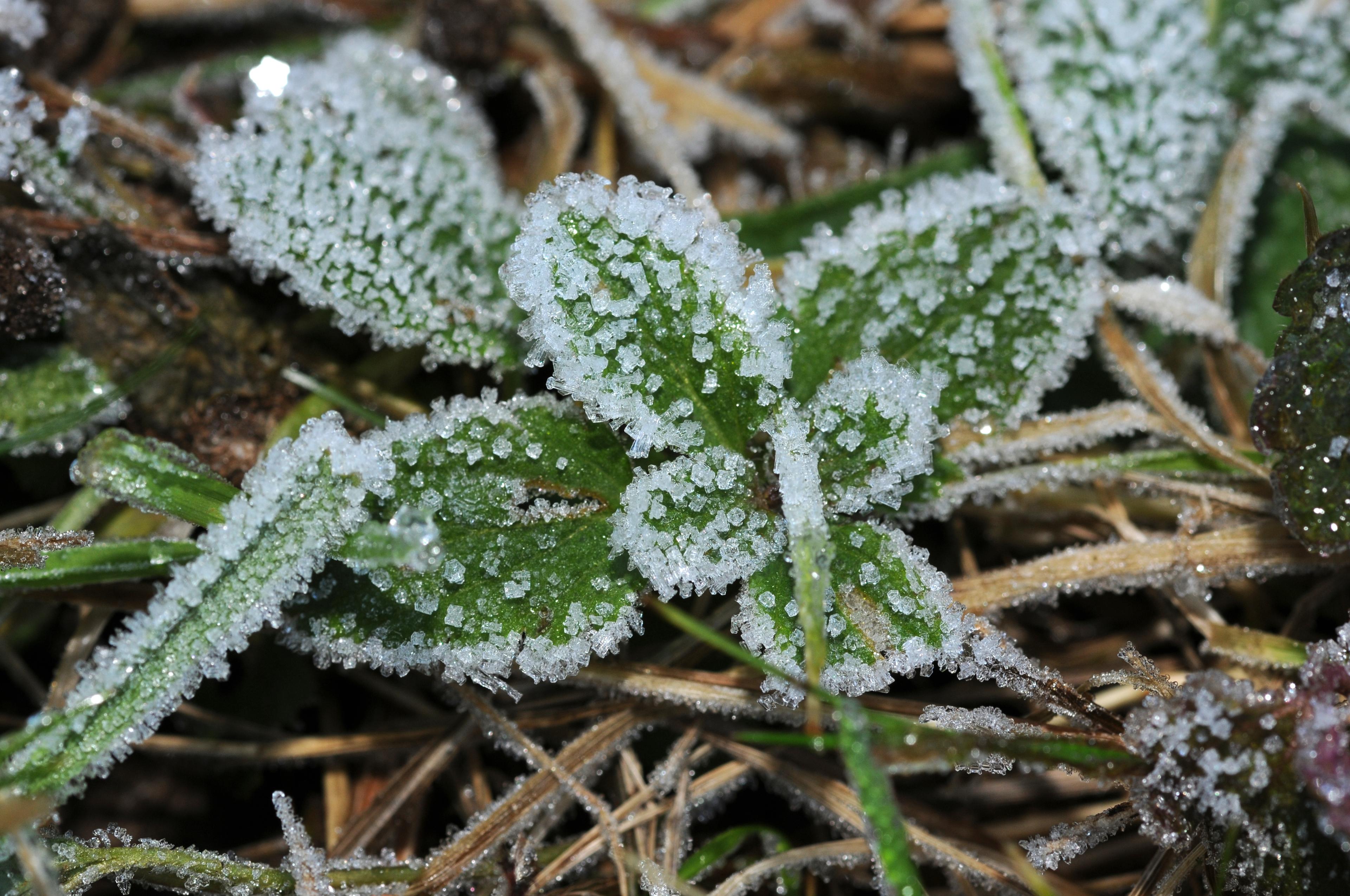 -28-20-givre